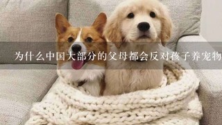 为什么中国大部分的父母都会反对孩子养宠物？