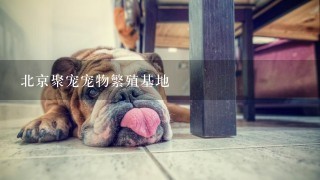 北京聚宠宠物繁殖基地