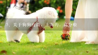 关于狗狗疫苗，上海的，高分啦