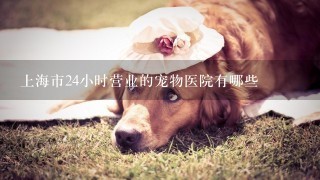 上海市24小时营业的宠物医院有哪些