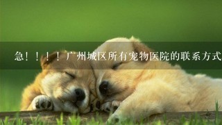 急！！！！广州城区所有宠物医院的联系方式和地点