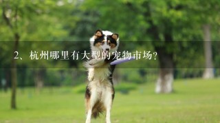 杭州哪里有大型的宠物市场？
