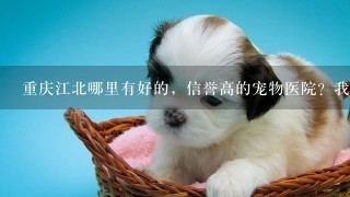重庆江北哪里有好的，信誉高的宠物医院？我要带我的小博美去打疫苗