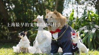 上海最早的宠物基地叫什么