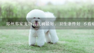 郑州那家宠物店洗狗最好，卫生条件好 不看病的是哪家