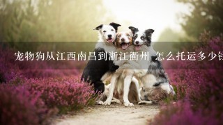宠物狗从江西南昌到浙江衢州 怎么托运多少钱？