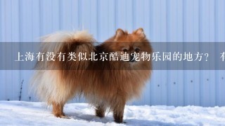 上海有没有类似北京酷迪宠物乐园的地方？ 有狗狗游泳池和玩的那种地方，在哪儿呢？谢谢咯