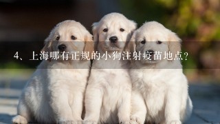 上海哪有正规的小狗注射疫苗地点?