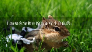 上海哪家宠物医院有治疗小仓鼠的?