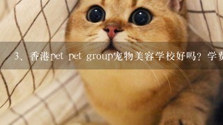 香港pet pet group宠物美容学校好吗？学费一共要多