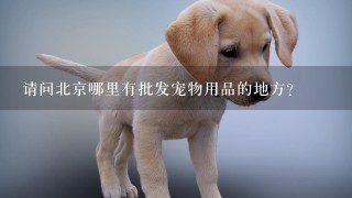 请问北京哪里有批发宠物用品的地方？