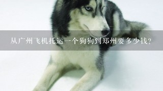 从广州飞机托运一个狗狗到郑州要多少钱？