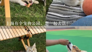 上海有个宠物公园，想一起去法？