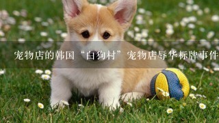 宠物店的韩国“白狗村”宠物店辱华标牌事件