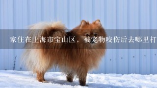 家住在上海市宝山区，被宠物咬伤后去哪里打狂犬病疫苗？最近的医院在哪里？是24小时都可以去吗？