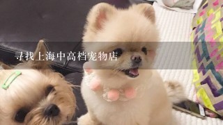 寻找上海中高档宠物店