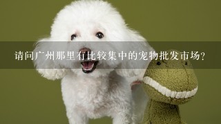 请问广州那里有比较集中的宠物批发市场？