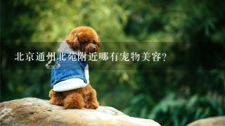 北京通州北苑附近哪有宠物美容？