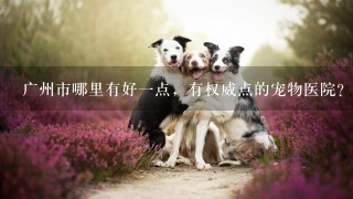 广州市哪里有好一点，有权威点的宠物医院？