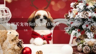 杭州买宠物狗的市场在哪里