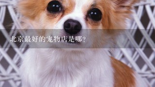 北京最好的宠物店是哪？