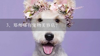郑州哪有宠物美容店？
