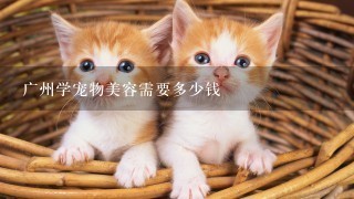 广州学宠物美容需要多少钱