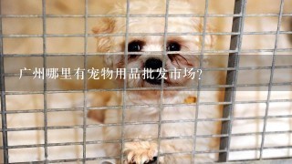 广州哪里有宠物用品批发市场？