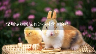 深圳宠物医院有24小时营业的吗