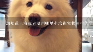 想知道上海或者温州哪里有培训宠物医生的学校或机构，我以后想开宠物医院，所以想自己学习