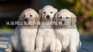 从深圳过关到香港可以带宠物么？