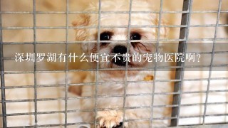 深圳罗湖有什么便宜不贵的宠物医院啊？