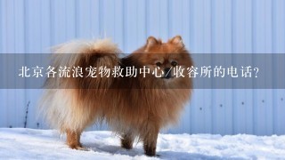 北京各流浪宠物救助中心/收容所的电话?