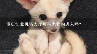重庆江北机场大厅可带宠物狗进入吗？