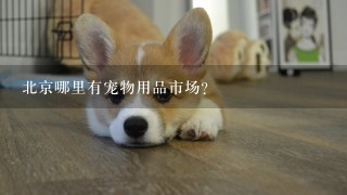 北京哪里有宠物用品市场？