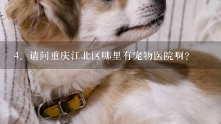 请问重庆江北区哪里有宠物医院啊?