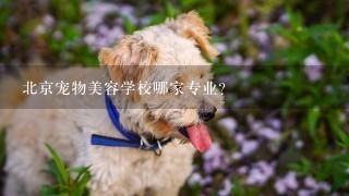 北京宠物美容学校哪家专业？