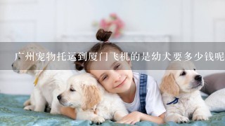 广州宠物托运到厦门飞机的是幼犬要多少钱呢？ 能送到家里来吗？
