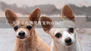 天津市内哪里有宠物市场？