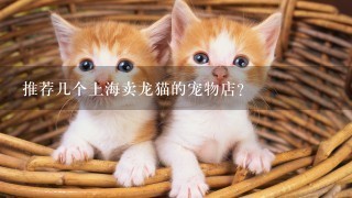 推荐几个上海卖龙猫的宠物店?