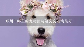 郑州市哪里的宠物医院给狗狗看病最好