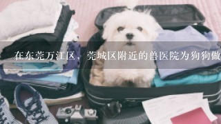 在东莞万江区，莞城区附近的兽医院为狗狗做绝育手术要多少钱？