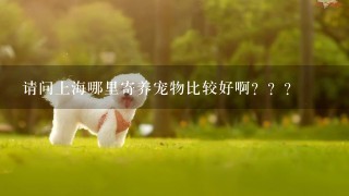 请问上海哪里寄养宠物比较好啊？？？