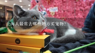 上海人最常去哪些地方买宠物？