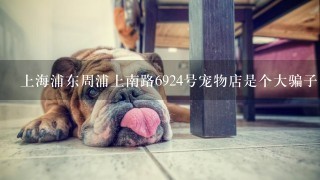 上海浦东周浦上南路6924号宠物店是个大骗子，狗贩子，大家别上当。