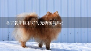 北京朝阳区有好的宠物医院吗？
