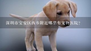 深圳市宝安区西乡附近哪里有宠物医院?