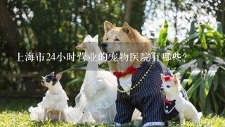 上海市24小时营业的宠物医院有哪些？
