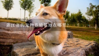 浙江省的宠物养殖基地在哪里?