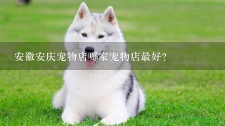 安徽安庆宠物店哪家宠物店最好？